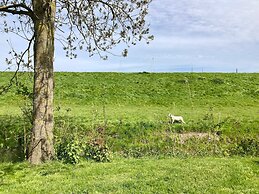 6 Pers Sunny House With Equipped Terrace Behind a Dike at Lauwersmeer