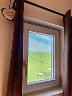 6 Pers Sunny House With Equipped Terrace Behind a Dike at Lauwersmeer