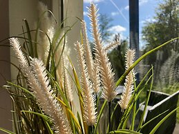 6pers House With a Private Terrace and Garden by the Lauwersmeer