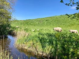 Cozy Holiday Home by the Dike in a Quiet Location at Lauwersmeer