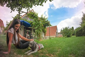 Holiday Home de Druif 6p With a Nice Terrace Near Lake Lauwersmeer