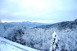 Hostellerie Le Turckheim Croix d'Or