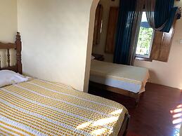 Hotel Fenix