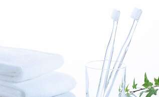 Comfort Hotel Ishigaki Island