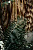 Zorba Tulum Beach Homes