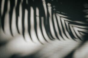 Zorba Tulum Beach Homes