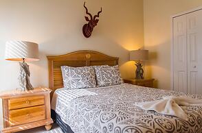 Paradise Island by Orlando Short Term