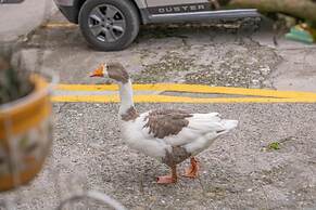 Finca Hotel San Isidro