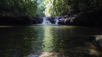 Green Lodge Tangkahan