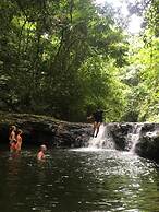 Green Lodge Tangkahan