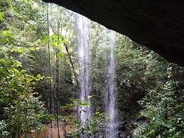 Green Lodge Tangkahan