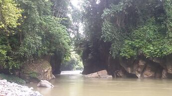 Green Lodge Tangkahan