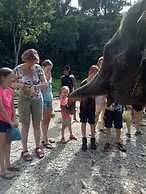 Green Lodge Tangkahan