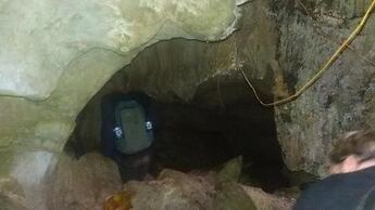 Green Lodge Tangkahan