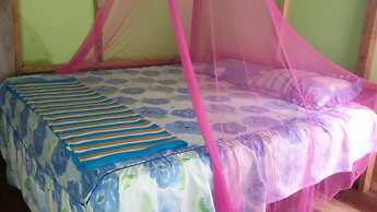 Green Lodge Tangkahan