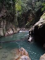 Green Lodge Tangkahan