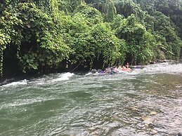 Green Lodge Tangkahan