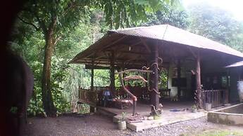 Green Lodge Tangkahan