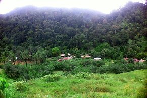 Green Lodge Tangkahan