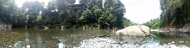 Green Lodge Tangkahan