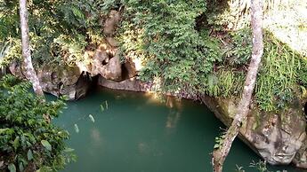 Green Lodge Tangkahan