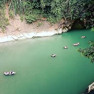 Green Lodge Tangkahan