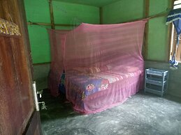 Green Lodge Tangkahan