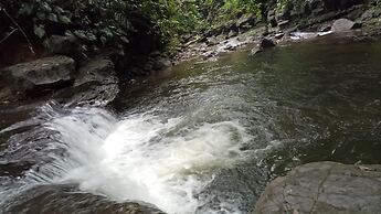 Green Lodge Tangkahan