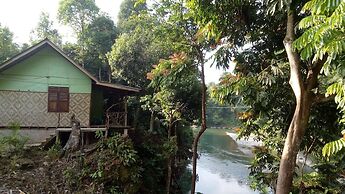 Green Lodge Tangkahan