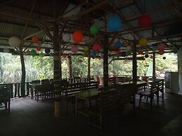 Green Lodge Tangkahan