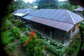 Green Lodge Tangkahan