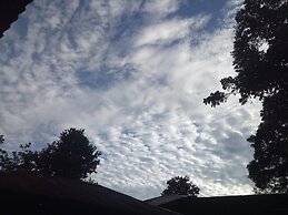 Green Lodge Tangkahan