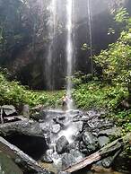 Green Lodge Tangkahan