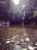 Green Lodge Tangkahan