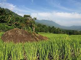Pu Luong Boutique Garden