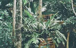 Pu Luong Boutique Garden