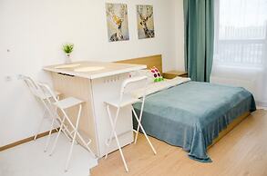 Apartment on Predportoviy 1