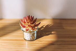 Dali Wumeng Sixiang Bieyuan