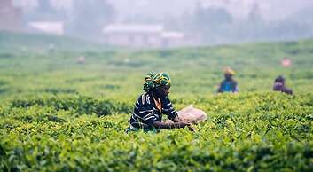 The Sudbury Villa Nuwaraeliya