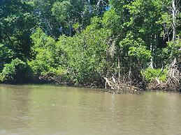 Hidden Paradise Beach Jiote