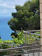 Apartmani Villa Dvorski