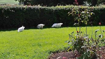 Shannon View 3 Bed Farm House With Private Parking