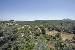 Sun-splashed Skyline Apt