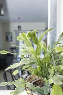 Sun-splashed Skyline Apt