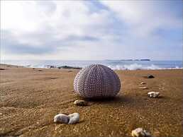 Alekos Beach Houses-Roni