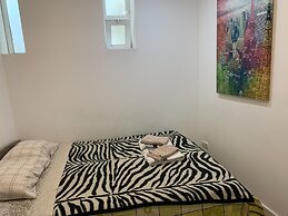 House and Rooms in Lisbon