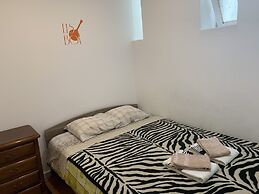 House and Rooms in Lisbon