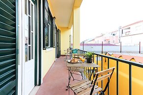 Rato Elegant By Homing