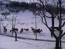 Agriturismo Tenuta del Daino