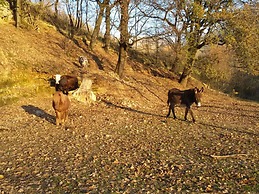 Agriturismo Tenuta del Daino